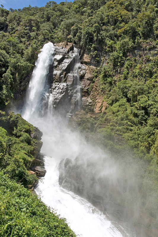 Rincn del Tigre near Taipiplaya 1350 m., Yungas, Bolivia February 21, 2022. Photographer; Henrik Bringse