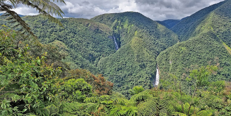 Quijarro Cascada de la Serpente view 1275 m., down to 935m, Caranavi Valley, Yungas, Bolivia January 23, 2022. Photographer; Peter Mllmann