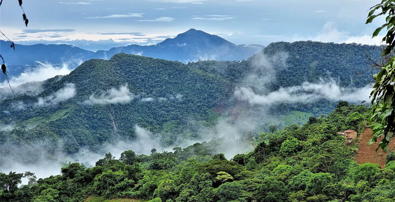 Rio View from the way to Rio Mercedes-Loa 1710m., Caranavi, Yungas, Bolivia February 18, 2022. Photographer; Peter Mllmann