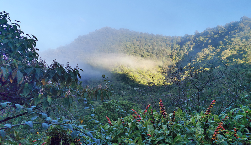 Hotel Quelitales, Cach, Cartago, Costa Rica november 5, 2021. Photographer; Knud Ellegaard