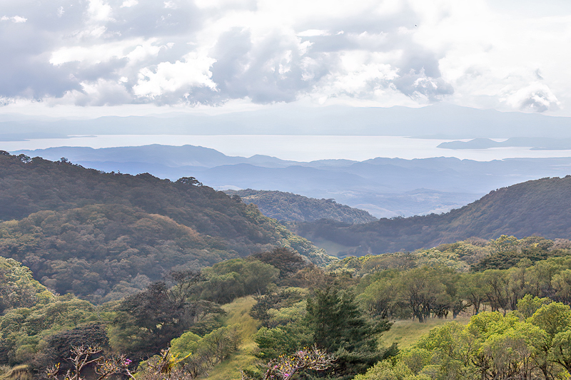 Monteverde, Puntarenas, Costa Rica november 15, 2021. Photographer; Knud Ellegaard
