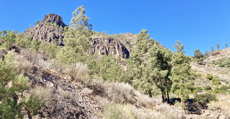 San Bartolome de Tirajana- Tunte 949m., Gran Canaria d. 29 oktober 2021. Fotograf; John Vergo