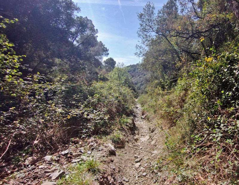 . Corral d'en Sabat 300-500 m., Capellades, Catalunya, Spanien d. 11 april 2022. Fotograf; Emil Bjerregaard