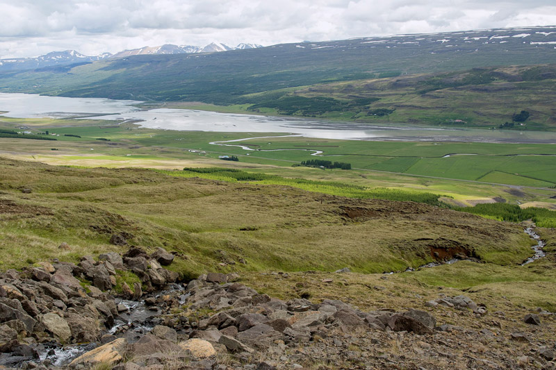 Múlaþing, det østlige Island juli 2022. Fotograf; Henrik Bringsøe