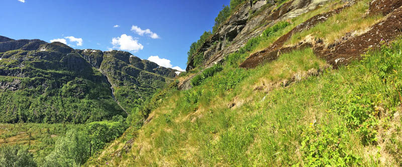 Smrkleppdalen 840 m., Kvvenuten, Vinje, Vestfold og Telemark fylke, Norge d. 20  juni 2022. Fotograf; Emil Bjerregrd