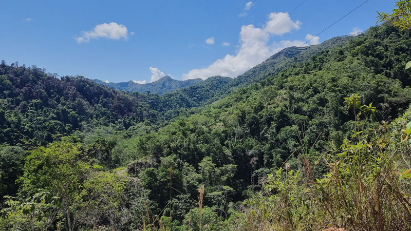 Lots of sunshine in Garrapatuni, Caranavi, Yungas, Bolivia january 6, 2023. Photographer; Peter Mllmann