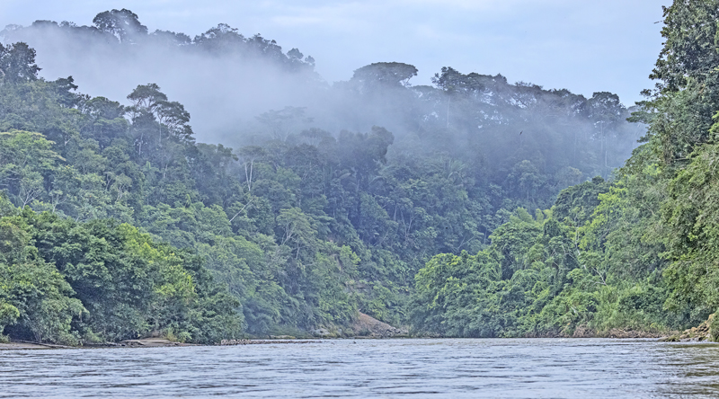 Itamandi, Rio Arajuno, Ecuador d. 4 april 2023. Fotograf; John S. Petersen
