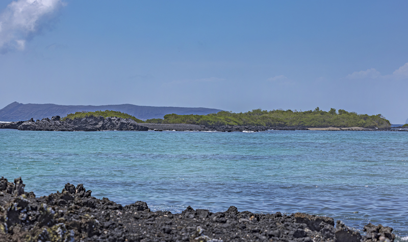 Isla Isabella, Galapagos, Ecuador d. 13 april 2023. Fotograf; John S. Petersen
