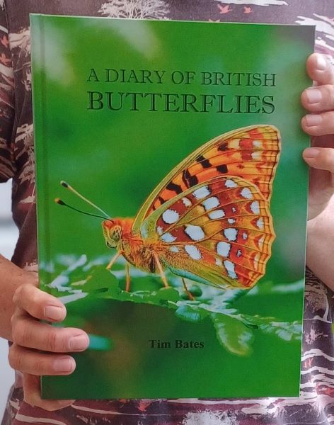 A Diary of British Butterflies update. UK Butterflies d. 15 november 2024. Photographer: Tim Bates