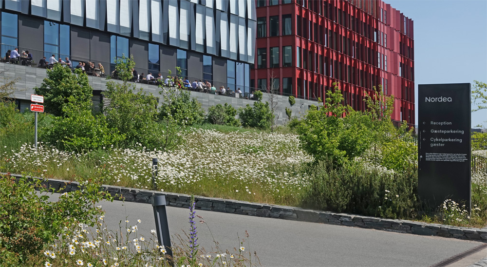 "Bynatur", Nordea, Amager Flled, Amager 22 maj 2024. Fotograf; Lars Andersen