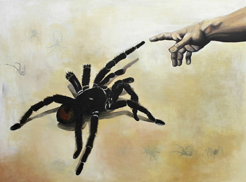 'And Creation of Spider', 2009, by Ingeborg Lund. Born 1987 in Denmark. Studying graphic design (BA) at Skolen for Visuel Kommunikation (School of Visual Communication) in Haderslev, Denmark. The Bolivian Blueleg, Pamphobetus antinous. Is one of the largest tarantulas in the world. Caranavi, Yungas. d. 22 february 2007. Photographer: Lars Andersen
