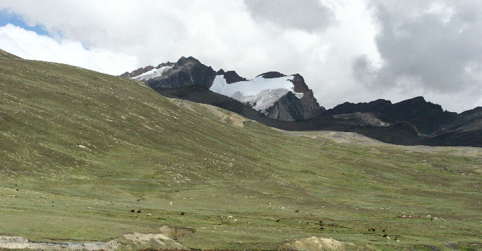 Cumbre 4600 m.a., Yungas, Bolivia. d. 23 january 2007. Photographer: Lars Andersen