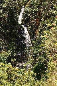 Cascadas San Jacinto. Yungas. d. 26 january 2007. Photographer: Lars Andersen