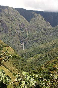 Suapi. Yungas. d. 27 january 2007. Photographer: Lars Andersen