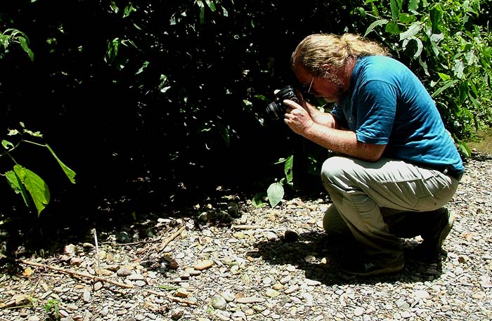 Lars Andersen in action. Caranavi, Yungas. d. 12 february 2007. Photographer: Peter Mllmann