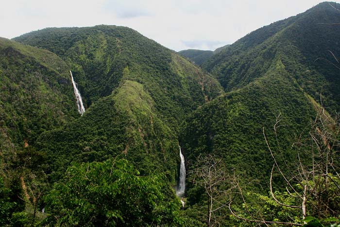 Quijarro-Caranavi, Yungas. d. 13 february 2007. Photographer: Lars Andersen