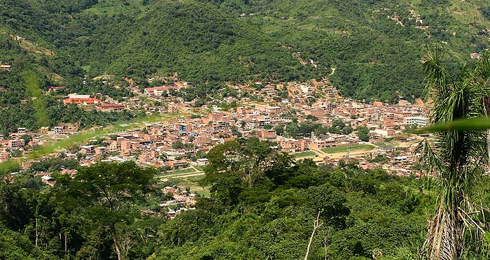 Caranavi, Yungas. d. 12 february 2007. Photographer: Lars Andersen