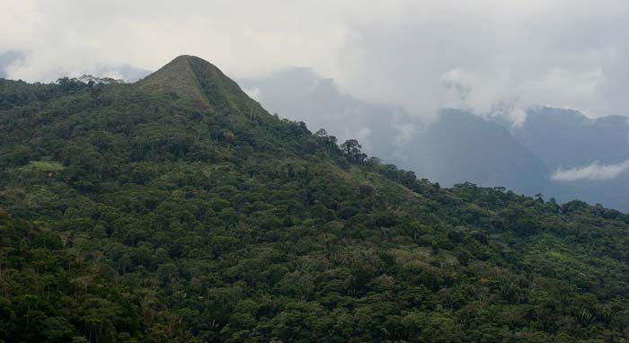 Quijarro-Caranavi, Yungas. d. 16 february 2007. Photographer: Lars Andersen