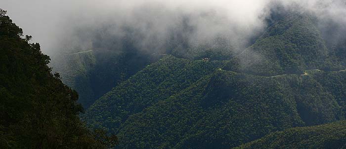 Sacramento Alto, 2700 m.a. The road between La Paz and Coroico, Yungas. d. 27 february 2007. Photographer: Lars Andersen