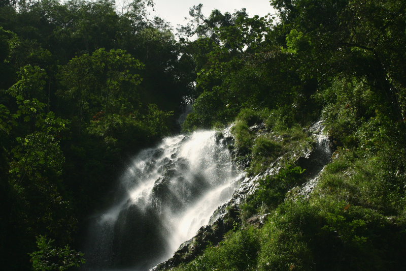 Challa, Caranavi, Yungas. d. 24 February 2007. Photographer: Lars Andersen