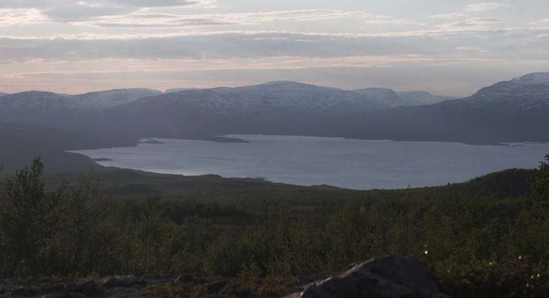 Lokalitet for Arktisk hsommerfugl, Sortringet perlemorsommerfugl, Moseblle perlemorsommerfugl, Polarpletvinge og Fjeldrandje. Abisko, Tornetrsk, Sverige. d. 3 juli 2007. Fotograf: Lars Andersen