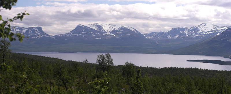 Plnovik nord for Tornetrsk, Lappland, Sverige. 360 m. d. 29 juni 2007. Fotograf: Lars Andersen