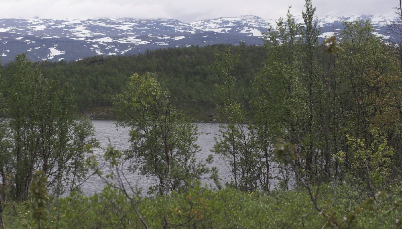 Plnovik nord for Tornetrsk, Lappland, Sverige. 360 m. d. 28 juni 2007. Fotograf: Lars Andersen