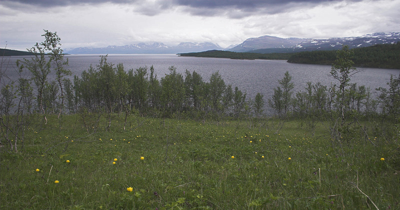 Plnovik nord for Tornetrsk, Lappland, Sverige. 360 m. d. 28 juni 2007. Fotograf: Lars Andersen