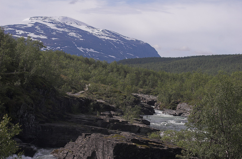 Kongsledden, Abisko, Sverige. 25 juni 2007. Fotograf: Lars Andersen