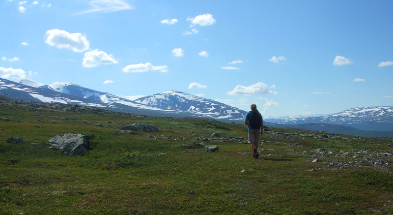 Lars Andersen ude og prøve at finde Oeneis bore, dog uden held. Nissuntjårro 850 m.h. Tornetrask sydbred, Sverige 3 juli 2007. Fotograf: Sif Larsen