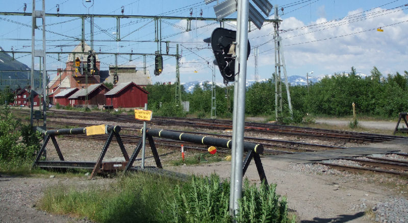 Lokaliteten for Kommabredpande, Hesperia comma ligger imellem Abisko ststation (her p foto) og Turiststation langs vejrabatten af E10 imellem Kiruna og Narvik, Abisko, Tornetrask sydbred, Sverige 6 juli 2007. Fotograf: Sif Larsen