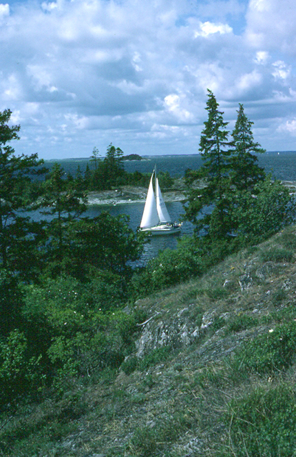 Lokaliteten for orion på de Smukke klipper i den Upplandske Skærgård. Munkö, Djurö, Uppland Juni 1995. Fotograf: Ib Kreutzer