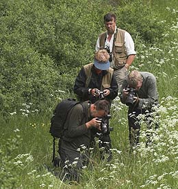 Her tt oplb af naturfotografer ved Mnemosyne. Ronneby, Blekinge. d. 3 juni 2007. Fotograf: Lars Andersen