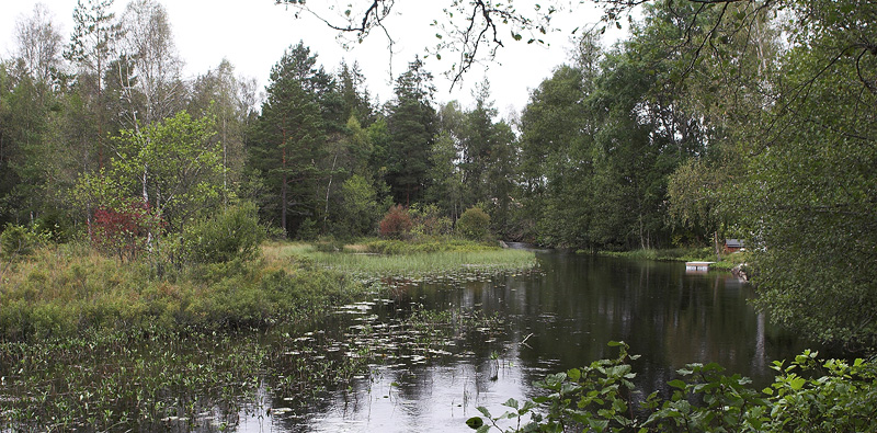 Mienån, Hakafors, Småland, Sverige. d. 8/9 2007. Fotograf: Lars Andersen