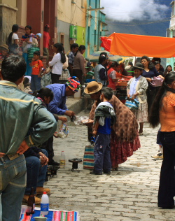 Coroico 1800 m.a., Yungas. d. 24 january 2008. Photographer: Lars Andersen