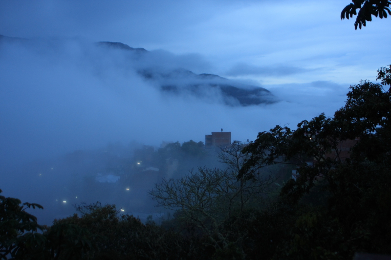 Coroico 1800 m.a., Yungas. d. 24 january 2008. Photographer: Lars Andersen