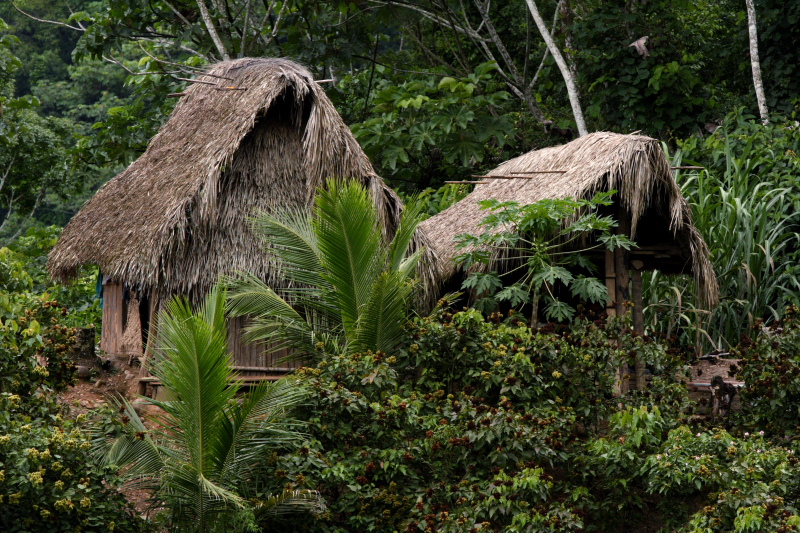 Rio Zongo,  between Caranavi and Guarnay, Yungas. d. 26 january 2008. Photographer: Lars Andersen