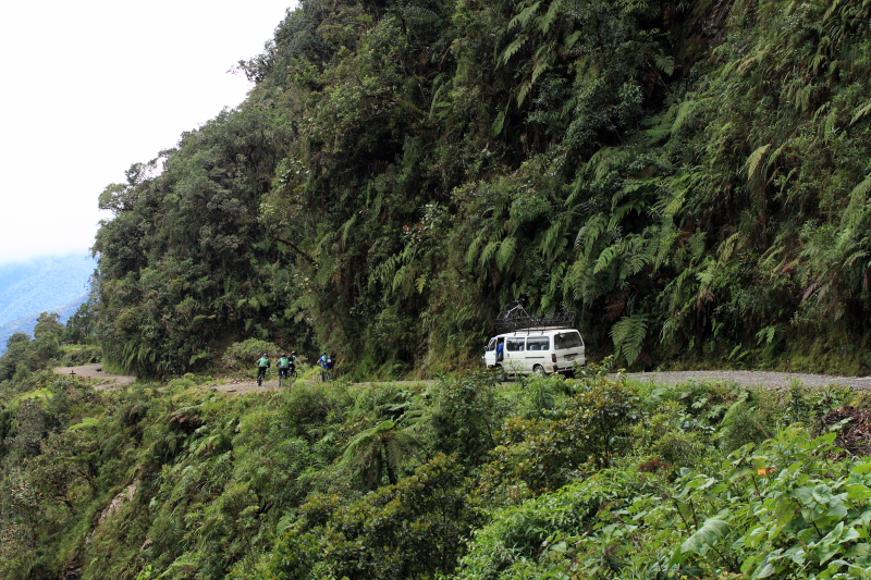 The world most dangerous road! Cloudy mountainforest,Morpho sulkowskyi locality. Cascades de Sacramento, Yungas. d. 22  February 2008. Photographer: Lars Andersen