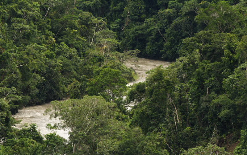 Rio Zongo,  between Caranavi and Guarnay, Yungas. d. 26 january 2008. Photographer: Lars Andersen