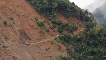 Rio Zongo,  between Caranavi and Guarnay, Yungas. d. 26 January 2008. Photographer: Lars Andersen