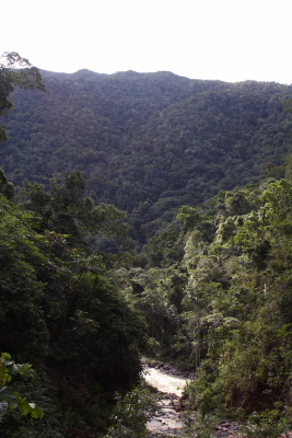 Rio Zongo,  between Caranavi and Guarnay, Yungas. d. 26 January 2008. Photographer: Lars Andersen