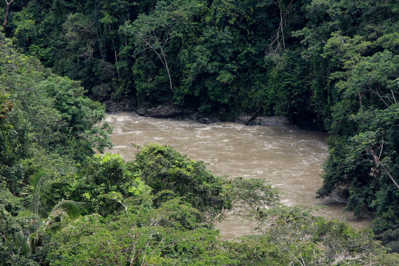 Rio Zongo,  between Caranavi and Guarnay, Yungas. d. 30 january 2008. Photographer: Lars Andersen