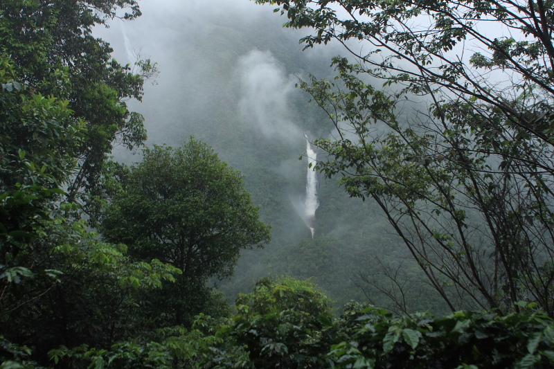 Quijarro-Caranavi, Yungas. d. 3 february 2008. Photographer: Lars Andersen