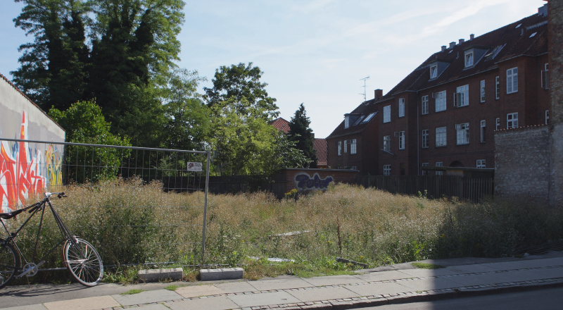 Lokalitet for Grønåret Kålsommerfugl og Gulplettet ugle. Amagerbrogade 217, Amager d. 16 August 2008. Fotograf: Lars Andersen