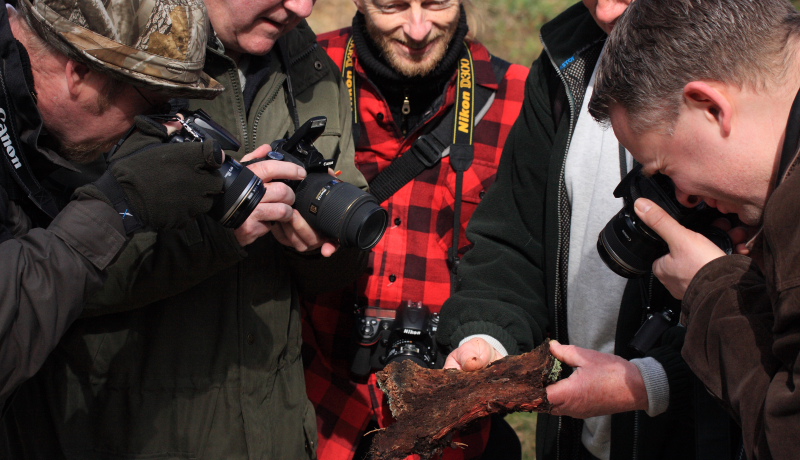 Makrofotografernes trf i Asserbo plantage. d. 5 April 2008. Fotograf: Lars Andersen.