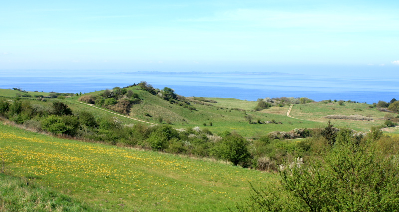 Bjergene, Odsherred, Nordvestsjælland. d. 4 Maj 2008. Fotograf: Lars Andersen