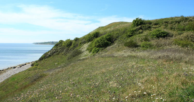 Røsnæs, Vestsjælland. d. 4 Maj 2008. Fotograf: Lars Andersen