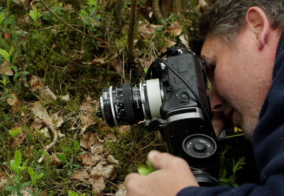 Jimmy Lassen er ved at fotografere Hjertebladet Fliglbe, Neottia cordata. Hornbk plantage, Nordsjlland. d. 17 Maj 2008. Fotograf: Lars Andersen