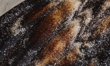 Dødningehoved, Acherontia atropos fra Jersie Strand, Køge Bugt, Sjælland, Danmark. Leg Nikolaj Kleissl fra importeret æg d. 10 September 2008. Fotograf: Lars Andersen