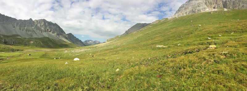 Albulapass 2400 m.h.,Graubnden, Schweiz d. 21 juli 2016. Fotograf; Emil Bjerregrd